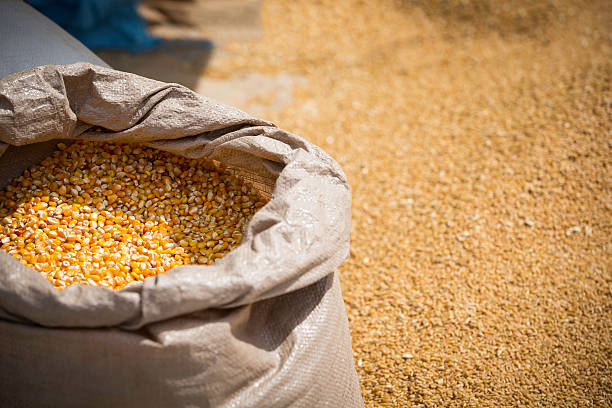Animal feed in a bags in a street market (souk), Morocco