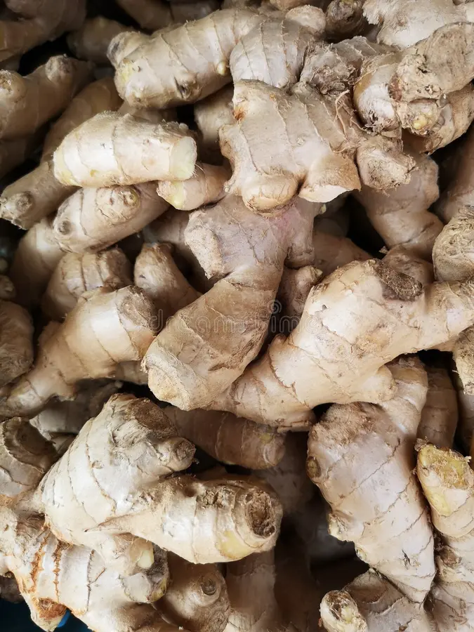 Pile ginger close up sold local market tasty root used kitchens around world