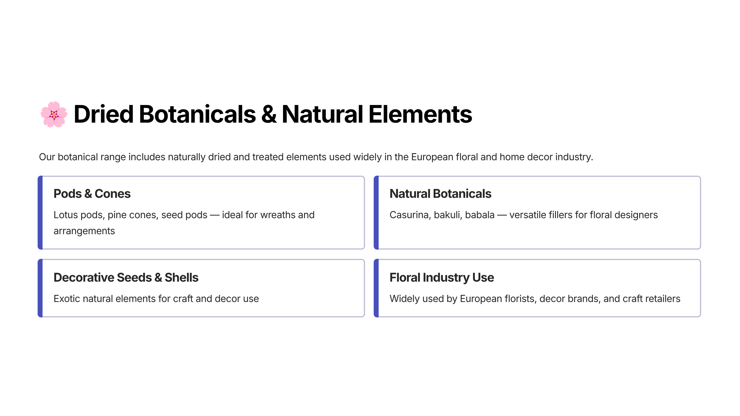 4 Dried Botanicals and Natural Elements