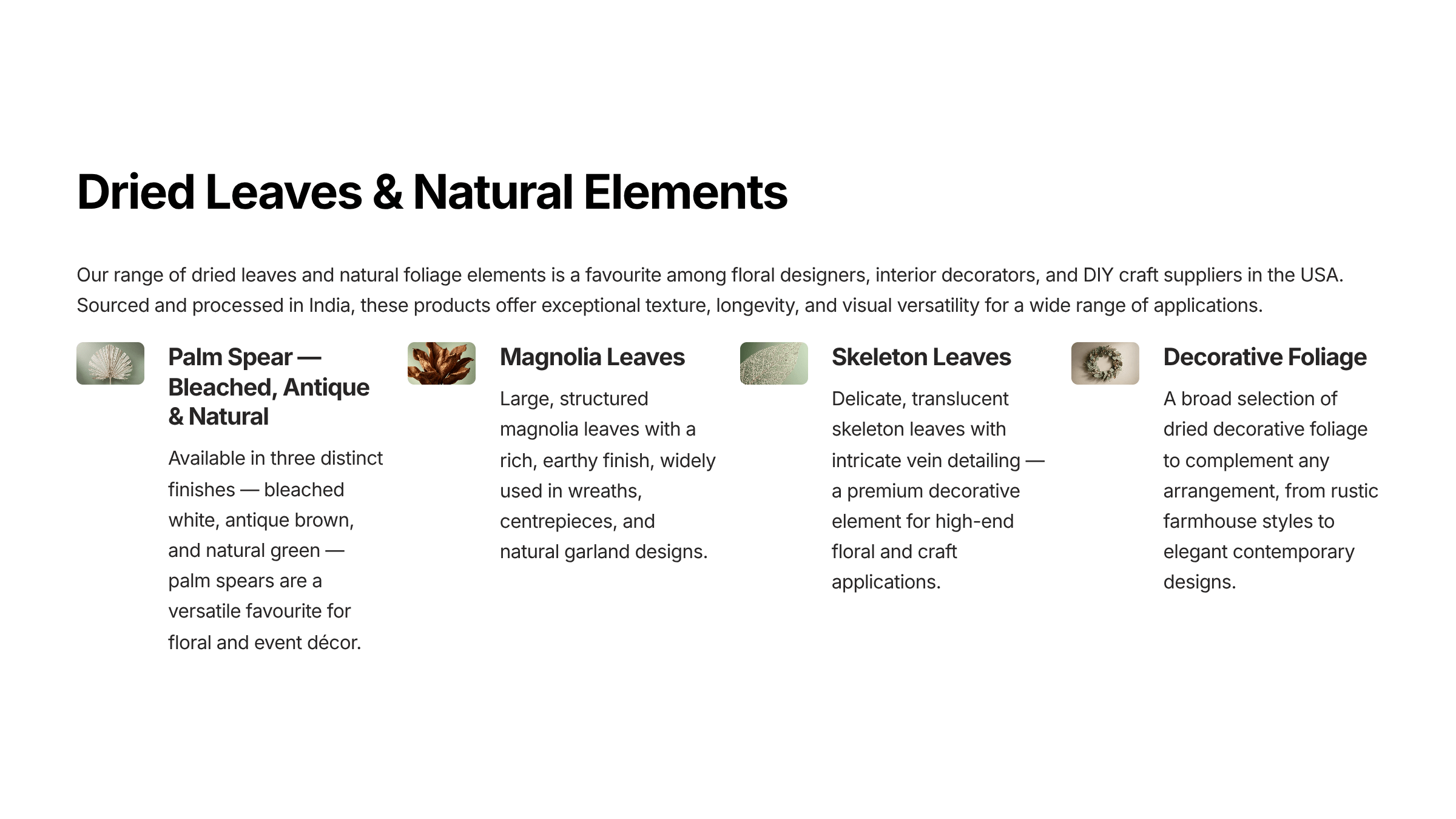 6 Dried Leaves and Natural Elements