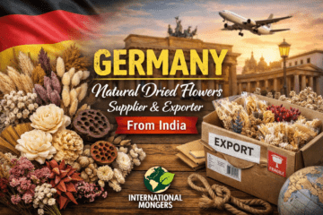 DF Germany IM