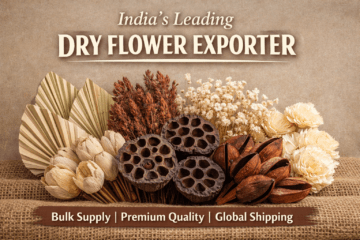 DF India IM