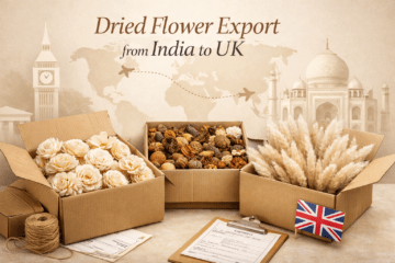 DF UK IM
