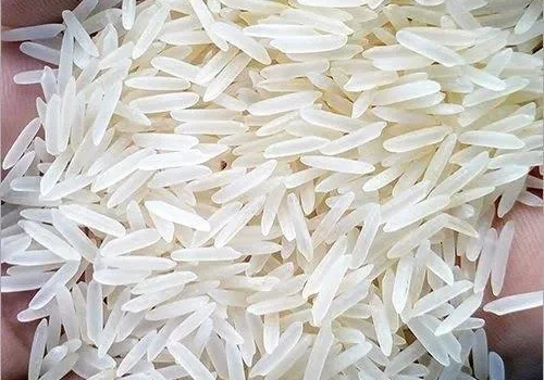 Images 20 jpeg 500x500